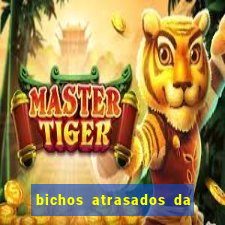 bichos atrasados da loteria federal